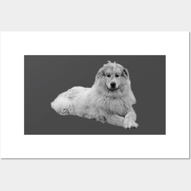 Pyrenees mountain dog Wall Art by robelf